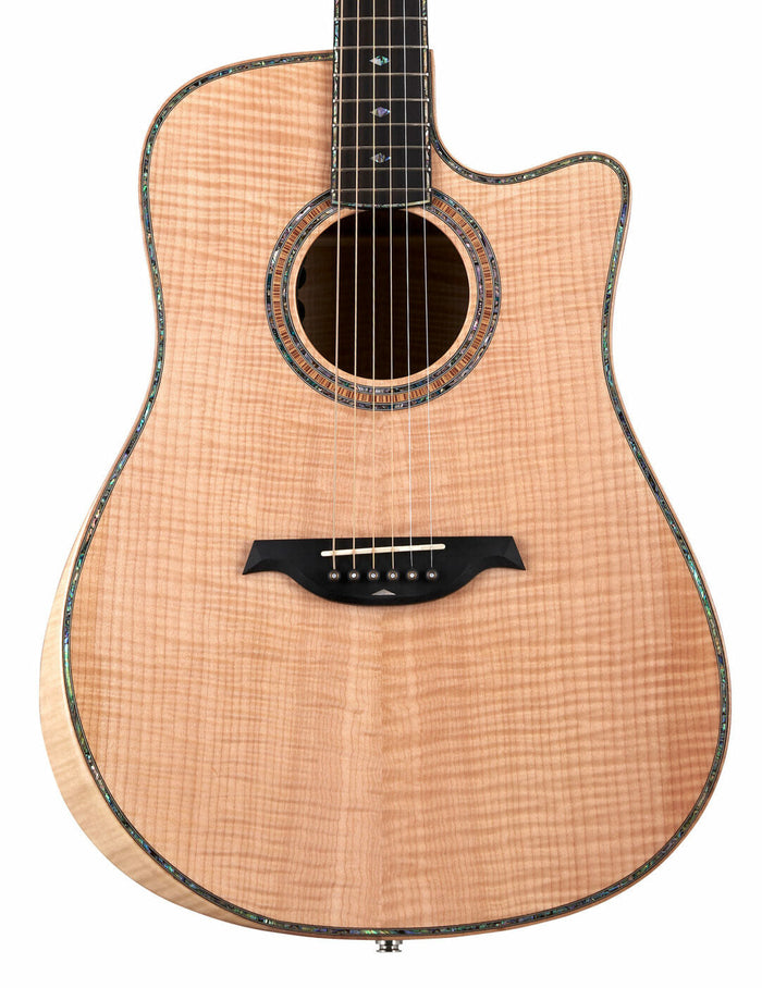B.C. Rich Prophecy Series Acoustic Cutaway