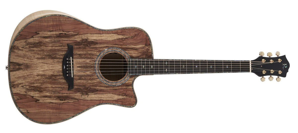 B.C. Rich Prophecy Series Acoustic Cutaway by Quality One Development Store in Spalted Maple with satin neck finish